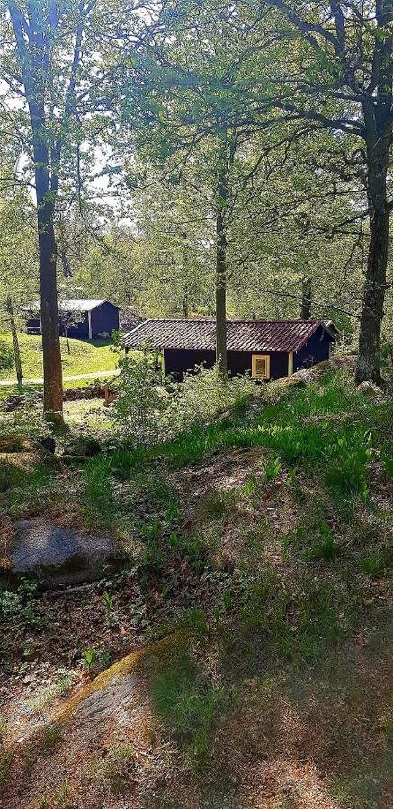 Kolleviks Camping Och Stugby Karlshamn  Dış mekan fotoğraf